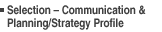 Selection – Communication & Planning/Strategy Profile